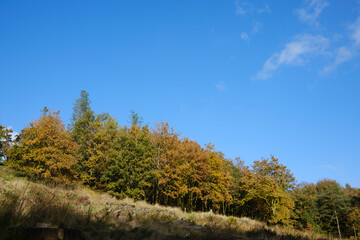 Entwistle reservoir woodland Lancashire UK. Sunny autumn day with blue sky and colorful trees on a hillside.