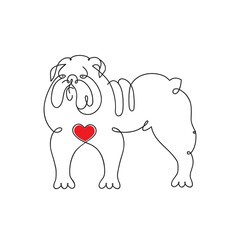 English Bulldog with a red hear. One continuous single drawing line art doodle animal, pet, dog, pug dog, doggy. Isolated flat illustration hand draw contour on a white