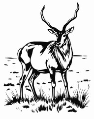 Saiga Antelope black and white vector art illustration