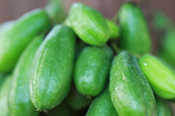 background of very sour fruit growing on the tree