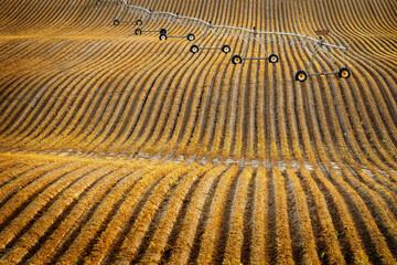 Fototapeta premium Pivot Irrigation Water Lines on Furrowed Farm Ground Agricultural Farming