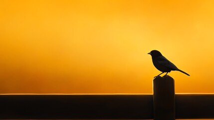 Silhouette of a bird against a sunset sky.