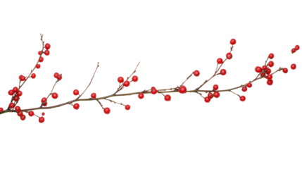 Decorative Branch with Bright Red Berries for Home and Holiday Decor