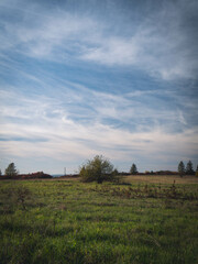 Path with trees and fallen leafs. Landscape photography with autumn in Poland. Lonely tree on the field.