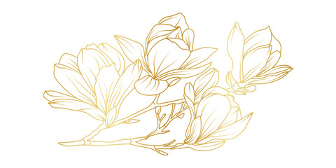 Golden magnolia flowers line art isolated on white background. Luxury magnolia floral design elements for invitation, wedding, wallpaper, print template, vector illustration © abcvector