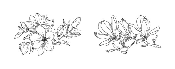Magnolia flower arrangement line art on white background. Silhouette magnolia botanical hand drawn element for wedding, invitation frame design, vector illustration © abcvector