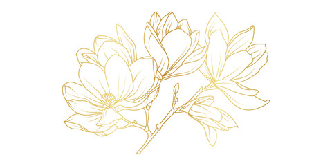 Golden magnolia flowers line art isolated on white background. Luxury magnolia floral design elements for invitation, wedding, wallpaper, print template, vector illustration