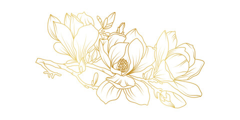 Golden magnolia flowers line art isolated on white background. Luxury magnolia floral design elements for invitation, wedding, wallpaper, print template, vector illustration
