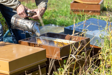 Apiculture - Apiculteur en train d'enfumer une ruche pendant une visite sanitaire du rucher