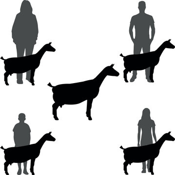 Nigerian Dwarf Goat Show Vector File, Livestock Judging Vector, Farm Girl Boy Vector, 4-H, FFA Show - Vector Art 
