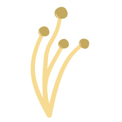 Enoki mushrooms. Vector illustration