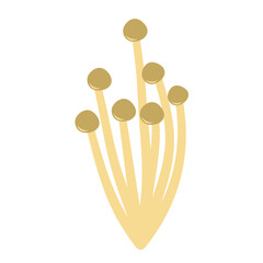 Enoki mushrooms. Vector illustration