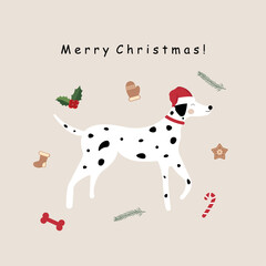 Christmas Dalmatian. Christmas card with Dalmatian. Vector graphics