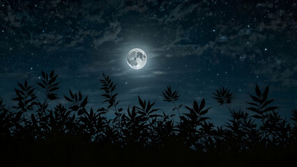 Suitable background a silhouette of leaves against a starry night sky with a full moon