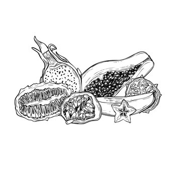 recommend clip art: Aromatic tropical halves and slices of fruit mix hand drawn black and white vector illustration. Papaya, kiwano, carambola, maracuja , Pitahaya and mango fruits monochrome composition for summer decor
