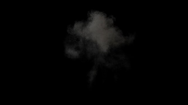 Video of a large explosion with fire and smoke, alpha channel for transparent background, three speeds including slow motion so you can adjust the speed, 30p 