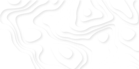 White minimal abstract background papercut and grid spiral realistic design use for ads banner and advertising print design. topography relief. Vector topographic illustration.