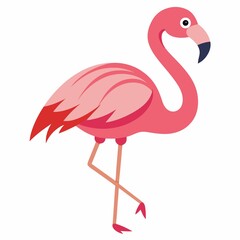Obraz premium pink flamingo on white background