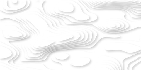 Minimal abstract vector wave carve diamond topography line circle creative 3d papercut white background. Luxury white wave and empty space for texture art design.