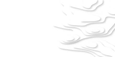 Obraz premium Minimal abstract vector wave carve diamond topography line circle creative 3d papercut white background. Luxury white wave and empty space for texture art design.