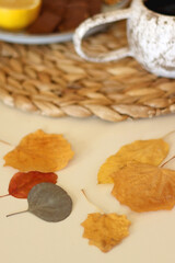 Fototapeta premium Pumpkins, various food and drinks, fall decorations, books and candles on the table. Fall hygge at home. Selective focus.