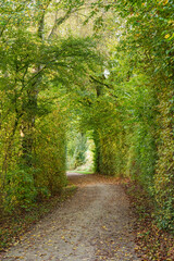 Fototapeta premium Herbstliche STimmung im Münsterland bei Borken