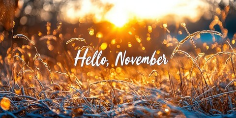  Golden autumn field bathed in sunlight with "Hello, November" greeting, symbolizing the arrival of the new month and seasonal change.