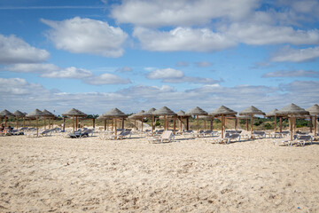 beach with umbrellas and chairs in a row
