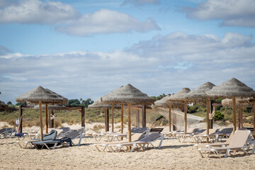 beach with umbrellas and chairs