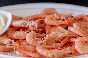 shrimps on a plate