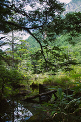 Japan Alps Kamikochi