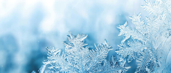 A close-up image showcasing intricate snowflakes against a soft blue background, highlighting the beauty of winter.