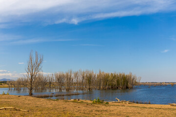 Scenic Fall landscape in Chatfield State Park in Littleton, Colorado