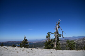Obraz premium Bald Mountain