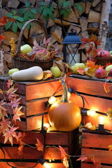 autumn still life of pumpkins and apples on wooden pallets