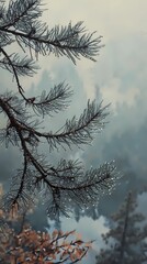 Obraz premium Misty autumn morning in the mountains, with colorful foliage and fog covering the peaks, creating a serene and calming atmosphere for visuals.