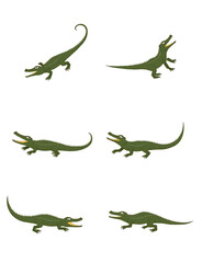Fototapeta premium ocodiles on a white background in different positions- one swimming, one with mouth open, one lying down, one standing, one playing, one hunting.