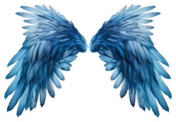 PNG Blue wings bird white background accessories.
