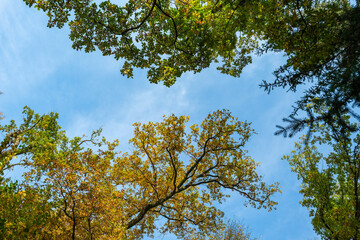 Beautiful colorful autumn nature background. Beautiful autumn landscape