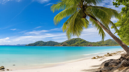 Beautiful Tropical Beach with Palm Trees and Crystal Clear Turquoise Water