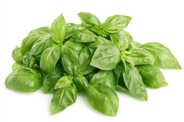 Fototapeta premium Fresh basil leaves collected from a garden, ready to be used in cooking or for garnishing dishes in a kitchen setting. Generative AI