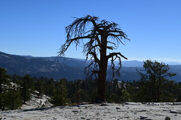 Obraz premium beautiful view from the top of Bald Mountain, California