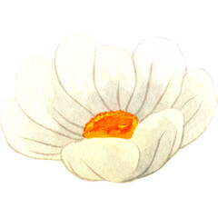 Flowers Watercolor Plant