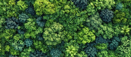 Naklejka premium Lush green foliage, densely packed leaves, and a vibrant green color, providing a natural backdrop for design projects.