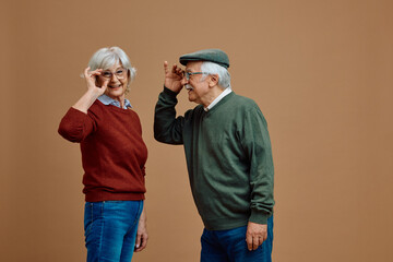 Happy senior couple feeling satisfied with new pair of eyeglasses. Woman is looking at camera. Copy space.