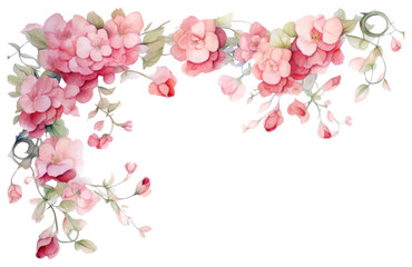 PNG Rose Begonias flower border nature petal plant.