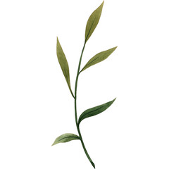 Watercolor Brench Wedding Branch Frame Rustic Floral