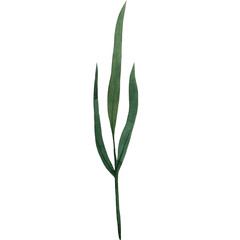 Watercolor Brench Wedding Branch Frame Rustic Floral