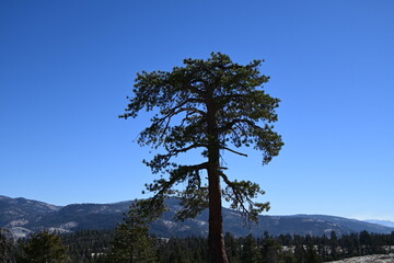 Obraz premium beautiful view from the top of Bald Mountain, California