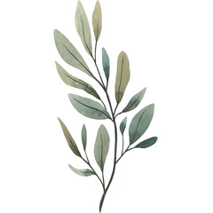 Watercolor Brench Wedding Branch Frame Rustic Floral